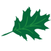 Logo of Colonial Oaks Skilled Nursing & Rehabilitation